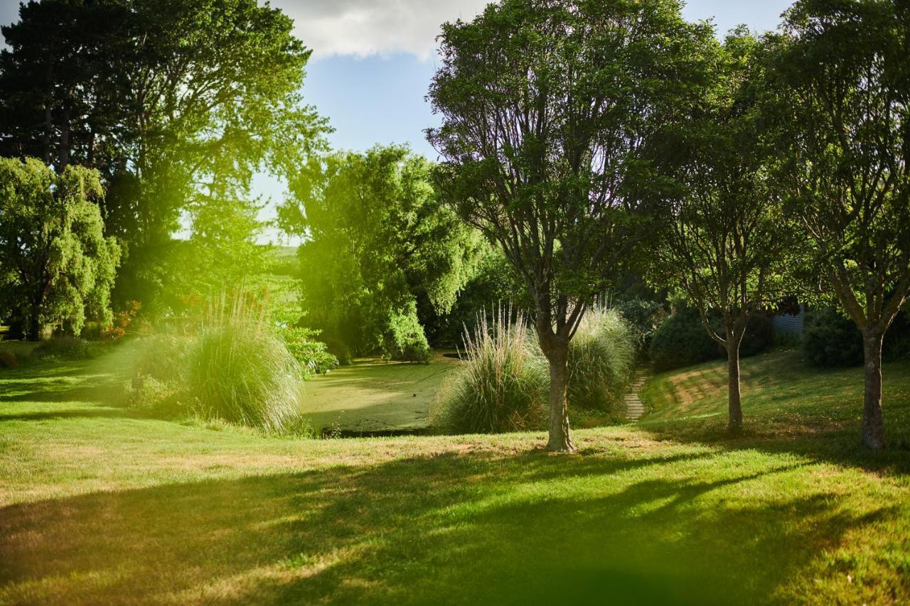 Parehua Resort Martinborough Cameră foto
